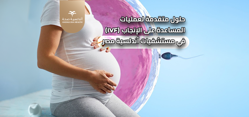 في مستشفيات أندلسية، إجابات لأكثر الأسئلة شيوعاً للزوجين في رحلة الخصوبة عبر السياحة العلاجية 