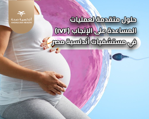 في مستشفيات أندلسية، إجابات لأكثر الأسئلة شيوعاً للزوجين في رحلة الخصوبة عبر السياحة العلاجية 